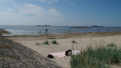 Fol på simstrand