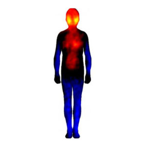Piirroskuva ihmiskehosta, johon on väritetty häpeän tunteen aktivoimat kehonosat lämpimillä väreillä, neutraalit mustalla, lamaannuttavat kylmillä väreillä.