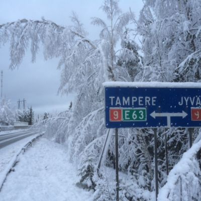 Ysitiellä Tampere-Jyväskylä välillä puut ovat taipuneet lumikuorman alla.