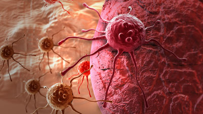 En animerad bild av en cancercell som landat på någon annan cell i kroppen.