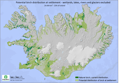 Bild som visar att en betydligt större del av Island tidigare var täckt av björkskog.