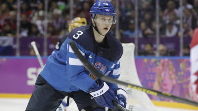 Leijonat