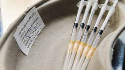 Vaccinsprutor i en paffbehållare.