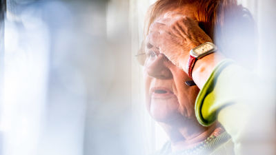 Tarja Halonen toimistollaan.