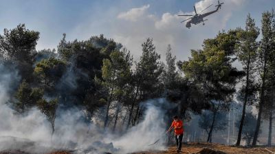 En brandman och en helikopter utför släckningsarbete i utkanten av den skog.