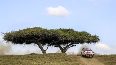 Sebastien Ogier i farten i Kenya.