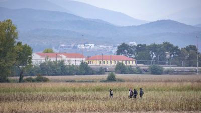 Asylsökande på ett fält försöker ta sig till Grekland från Norra Makedonien.