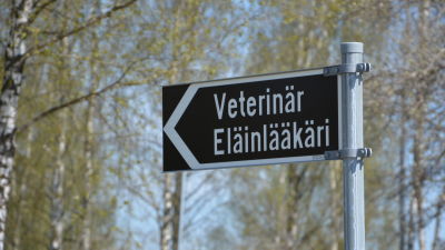 Gatuskylt där det står veterinär, eläinlääkäri.