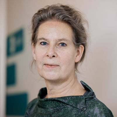 THL:n ylilääkäri Hanna Nohynek.
