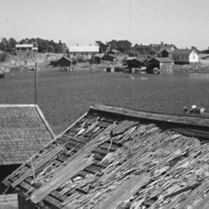 Haapasaari vuonna 1964