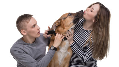 Man och kvinna med hund, kvinnan pussas med hunden, mannen ser irriterad ut