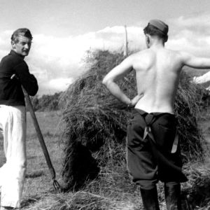 Soldater hjälper till med höbärgning, 1942