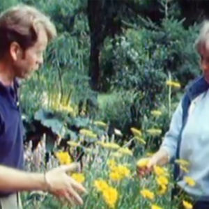 Arno Kasvi och Aagot Jung i Runsala, 1989