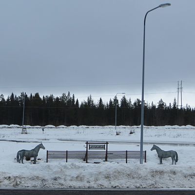 Laivakankaan ravirata keväällä.