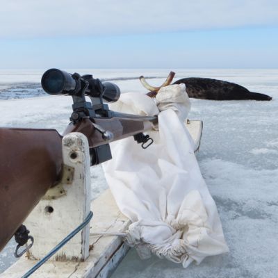 Hylkeenpyytäjän ase lepää ajopuulla.