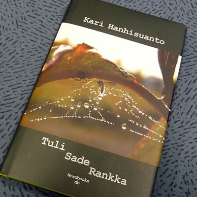 Kari Hanhisuannon kirjan kansikuvan on ottanut Lea Silvenius
