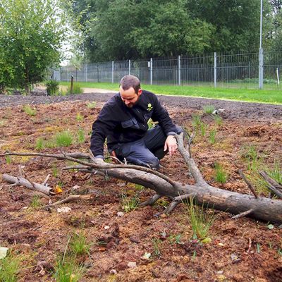 Puutarhuri Mikael Lindholm esittelee kasveja Kumpulan kasvitieteelliseen puutarhaan viime talvena siirretyllä suopalstalla.