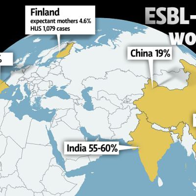 Infographics