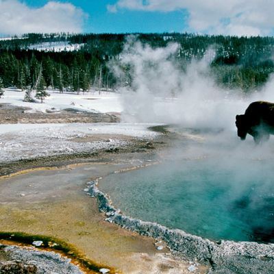 Kuva Avara Luonto -sarja jaksosta Yellowstonen talvi