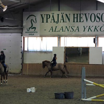 Esteratsastajia harjoittelemassa Ypäjän Hevosopiston ratsastusmaneesissa