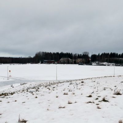 Tamikuinen maisemakuva