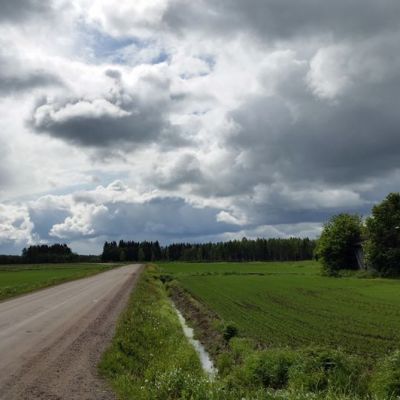 Synkät pilvet ovat leijuneet koko alkukesän viljelijöiden kiusana. Sade ja kylmä sää ovat vaikeuttaneet kylvötöitä ja hidastaneet sadon kehitystä. Siikalatvan Mankilankylän peltoja 17.6.2015.