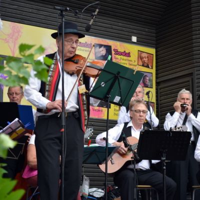 Kansanmusiikkipelimanneja Siilifolk-tapahtuman esiintymislavalla