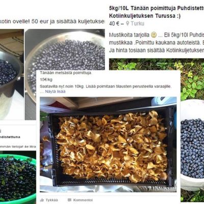 Mustikan myynti-ilmoituksia Facebookin kirpputorilla.
