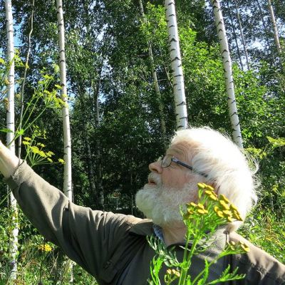 Mies tutkii tien varressa kasvavaa palsternakkaa