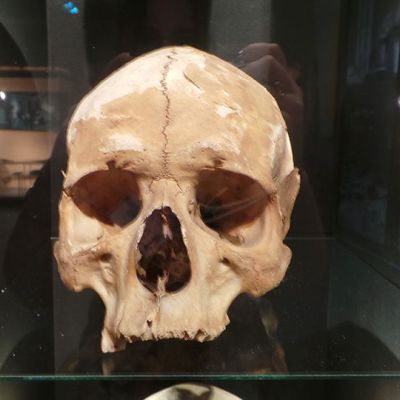 Pääkallo Keskusrikospoliisin Rikosmuseossa.