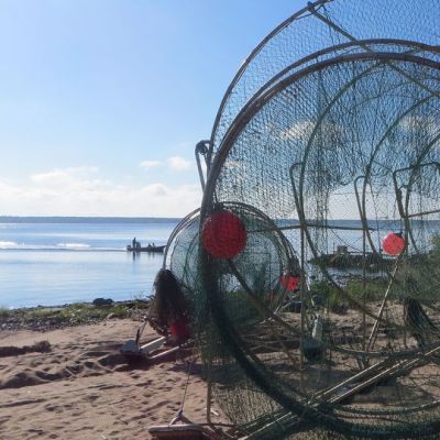 Lohirysä kalastajien tukikohdassa Kemin edustalla.
