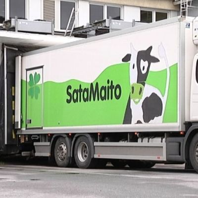Satamaito maitoauto Porissa osuusmeijeri listerialöydös