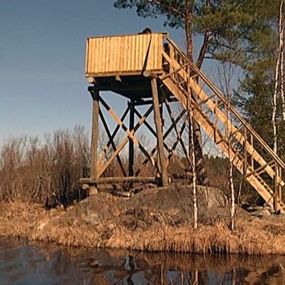 Laukaan Hohon Lapinjärven lintutorni.