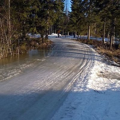 hiihtolatu 10.3 2014 Takajärvellä