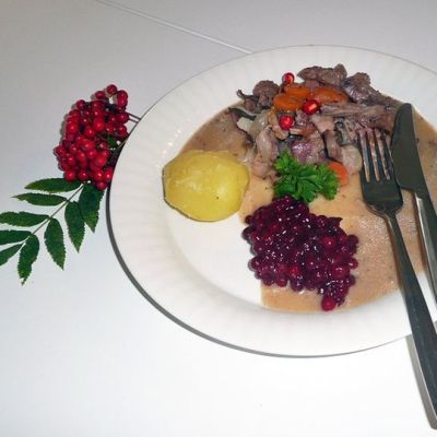Lautasellinen hirvenlihapataa