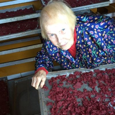 Marjayrittäjä Hilkka Ahonen kuivattaa myös karpaloita kotitilallaan Raahen Piehingin kylällä.