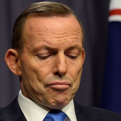 Tony Abbott katse alhaalla.