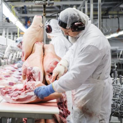 HKScanin Forssan tuotantolaitoksella lihanleikkausta