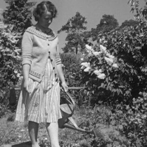 Nainen kastelee kasveja Haapasaaressa vuonna 1964