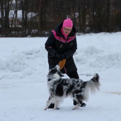 Yhteinen harrastus käy kuntoilusta niin koiralle kuin omistajallekin.