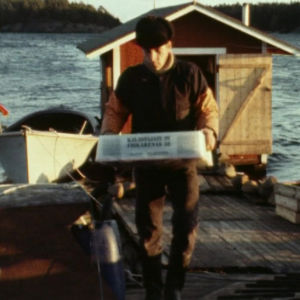 Kalastaja kantaa saalista