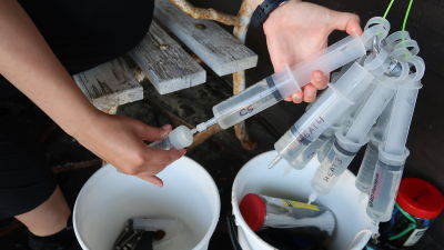 Bild av vattenprover i pipetter som förs till provrrör.