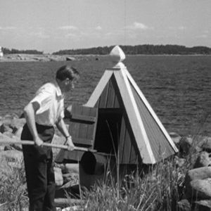 Mies nostaa vettä kaivosta Haapasaaressa 1964