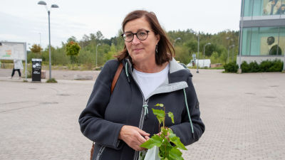 Anne Elenius-Parkkari har en vit plastpåse med björkplantor i.