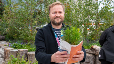 Thomas Weissman håller fram tallplantor som lindats in i tidningspapper.