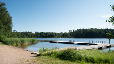 Tasträsk badstrand. På bilden syns en sandstrand, gräsmatta och en lång brygga.
