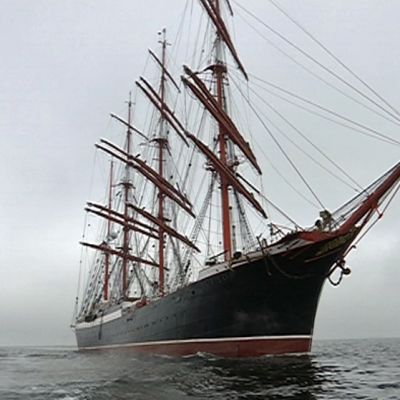 Sedov