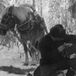 Metsurii korjaa moottorisahaa, taustalla hevonen.