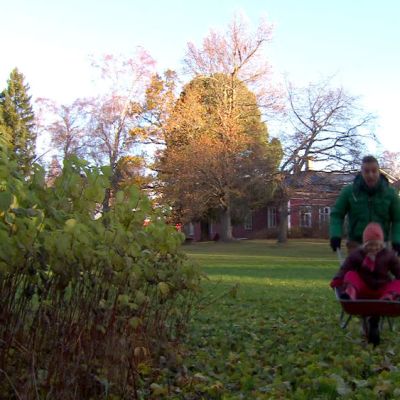 På jakt efter kvistar till gran.