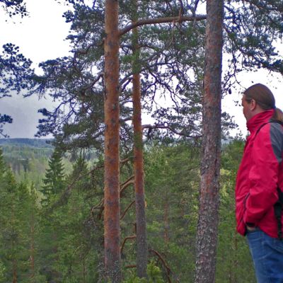 Retkeilijä Heinolassa Pikkukalliolla